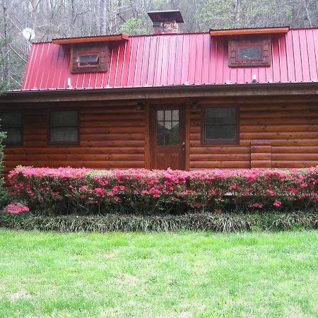 Buffalo Creek Bed And Breakfast Robbinsville Dış mekan fotoğraf