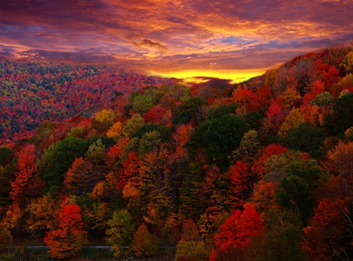 Buffalo Creek Bed And Breakfast Robbinsville Dış mekan fotoğraf