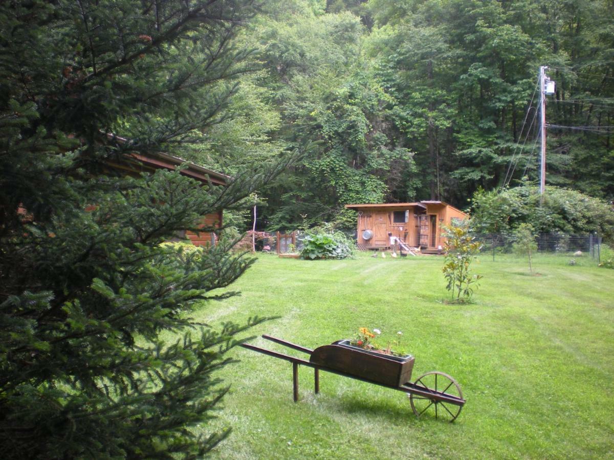 Buffalo Creek Bed And Breakfast Robbinsville Dış mekan fotoğraf