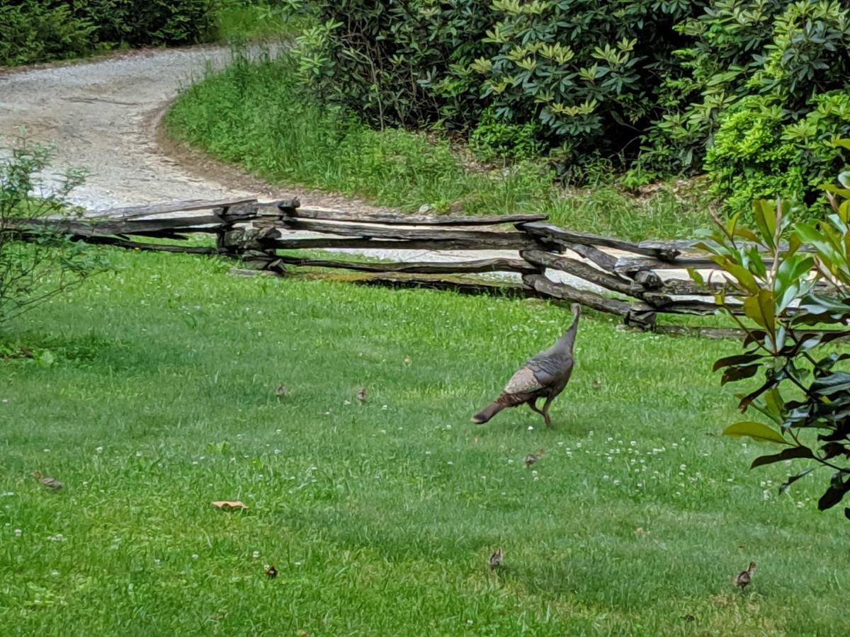 Buffalo Creek Bed And Breakfast Robbinsville Dış mekan fotoğraf